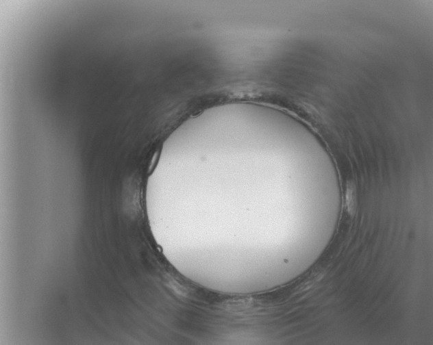 X0000071771444200607150016