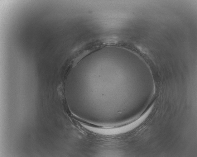 X0000071771445200607150016