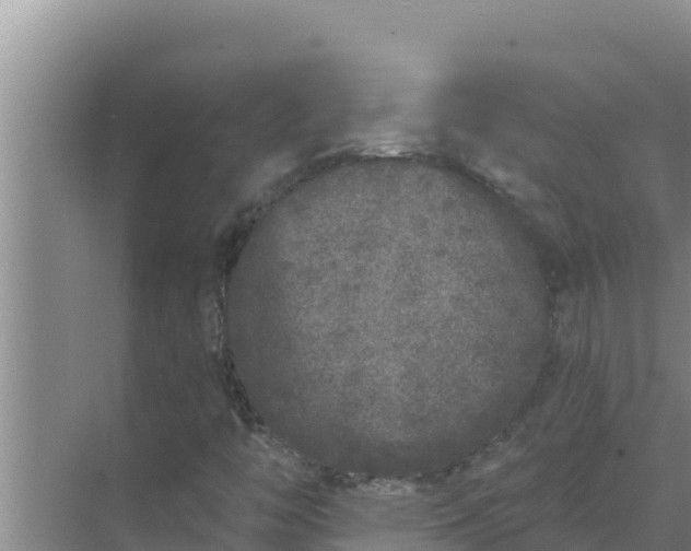 X0000071771446200607150016