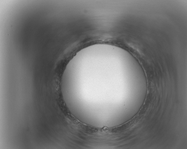 X0000071771447200607150016