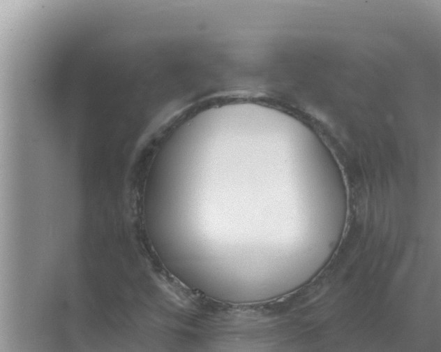 X0000071771448200607150016