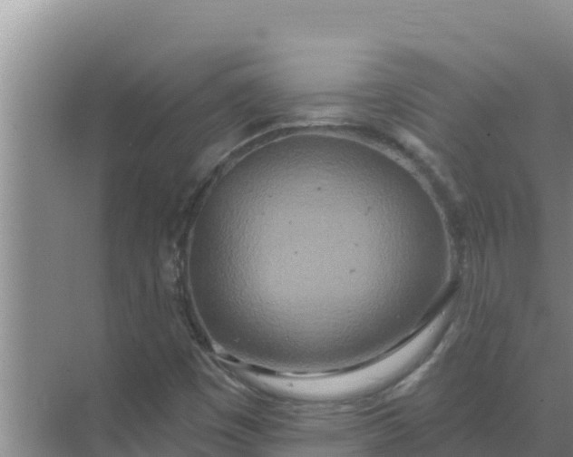 X0000071771449200607150016