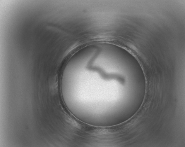 X0000071771450200607150016