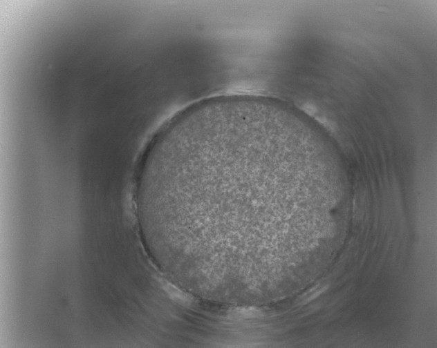 X0000071771454200607150016