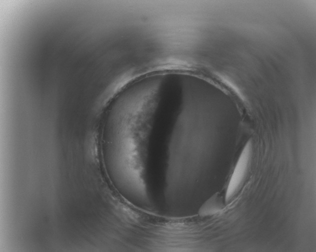 X0000071771455200607150016