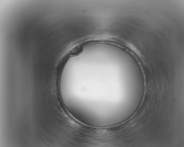 X0000071771456200607150016