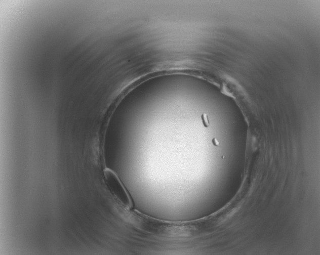 X0000071771457200607150016