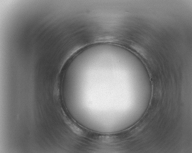 X0000071771458200607150016