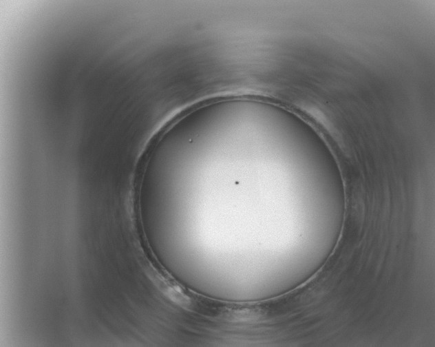 X0000071771460200607150016