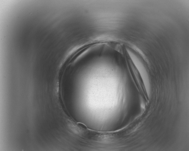 X0000071771461200607150016