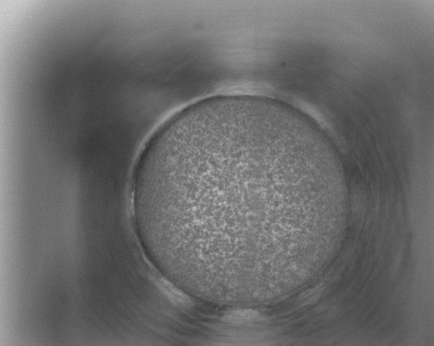 X0000071771462200607150016