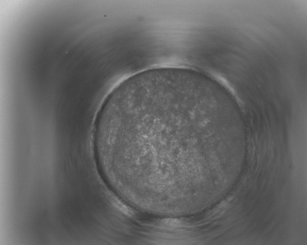 X0000071771463200607150016