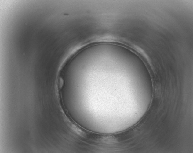 X0000071771464200607150016