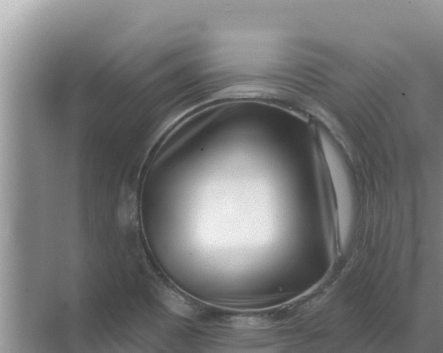 X0000071771465200607150016