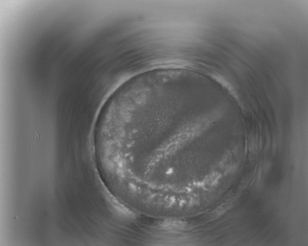 X0000071771466200607150016