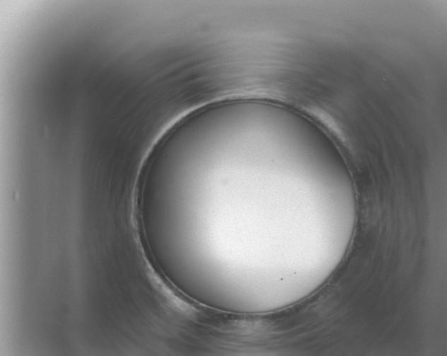 X0000071771468200607150015