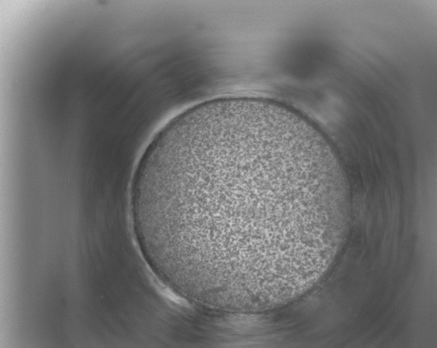 X0000071771470200607150015