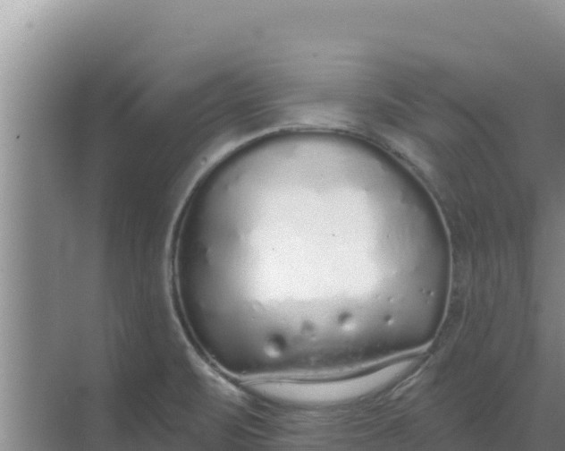 X0000071771471200607150015