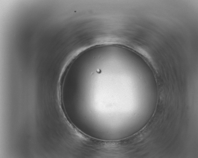 X0000071771472200607150015