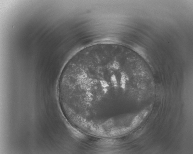 X0000071771474200607150015