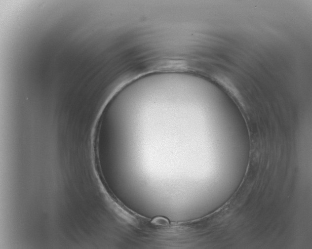 X0000071771475200607150015