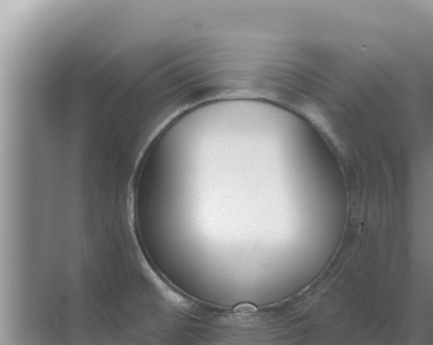 X0000071771476200607150015