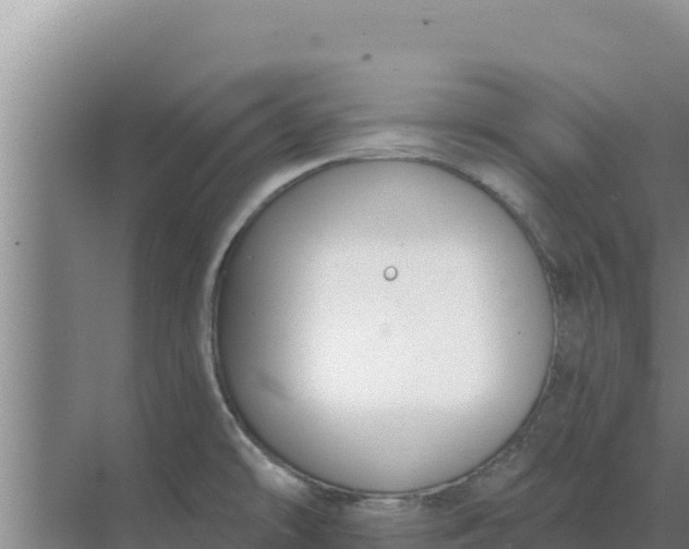 X0000071771478200607150015