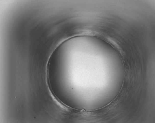 X0000071771479200607150015