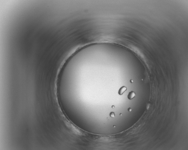 X0000071771480200607150015