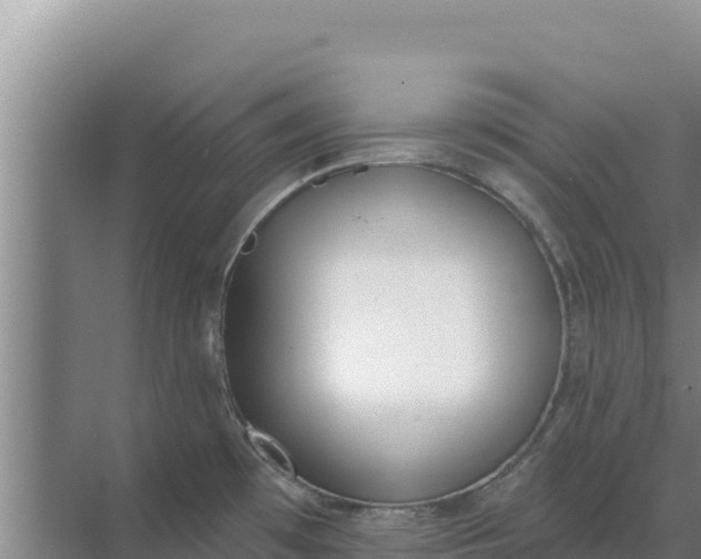 X0000071771481200607150015