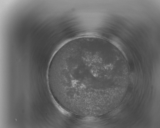 X0000071771482200607150015