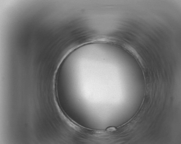 X0000071771483200607150015