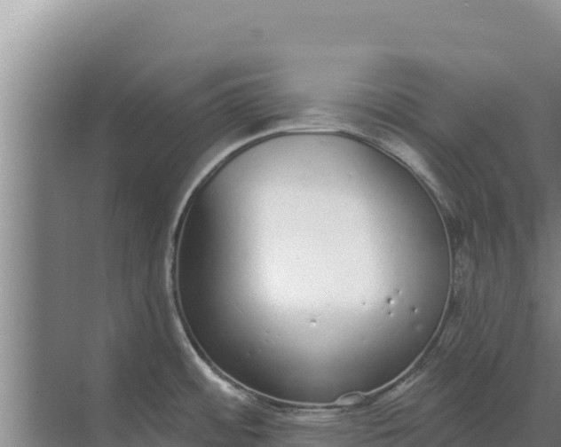 X0000071771484200607150015