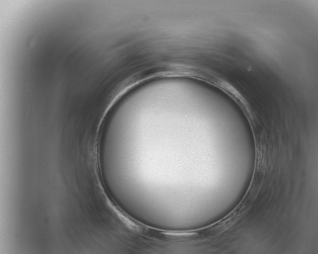 X0000071771487200607150015