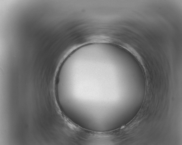 X0000071771488200607150015