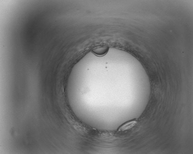 X0000071771489200607150014