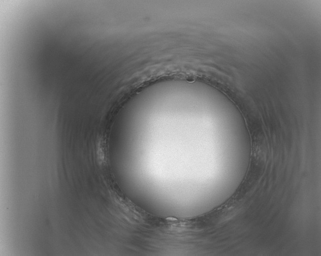 X0000071771490200607150014