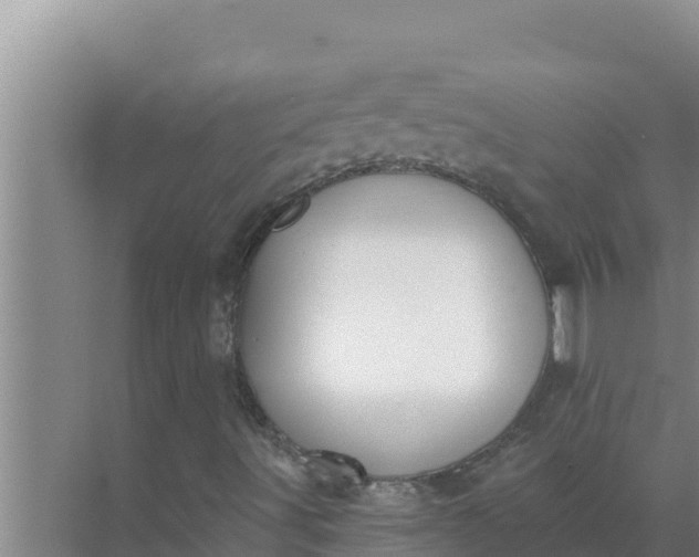 X0000071771491200607150014