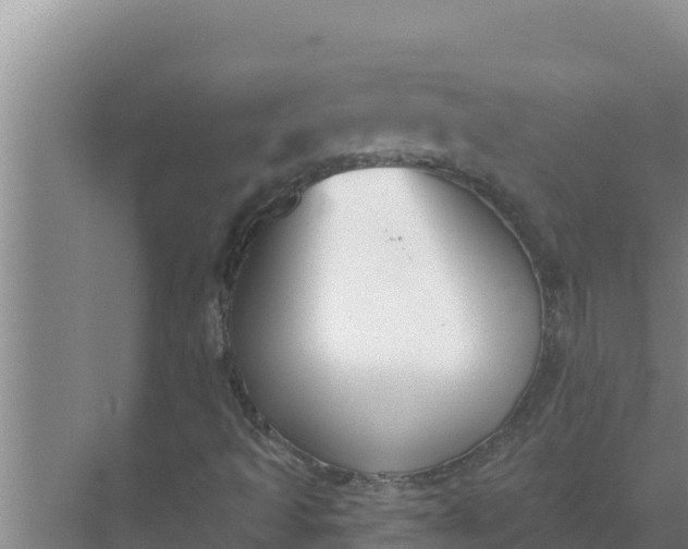 X0000071771493200607150014