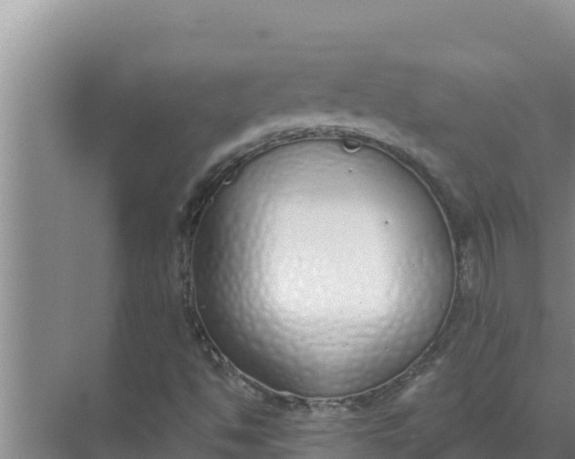 X0000071771494200607150014