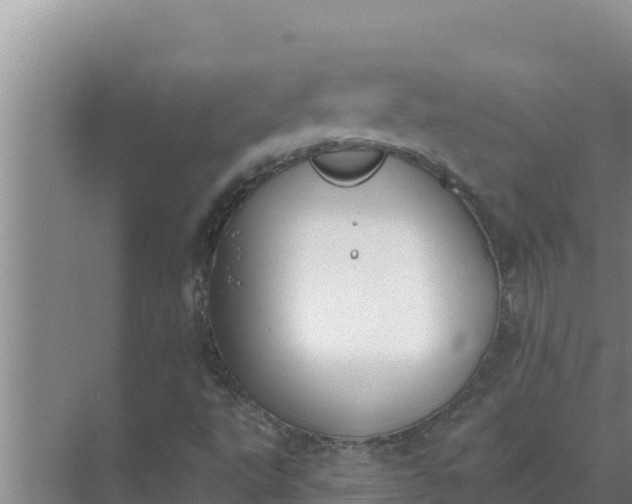 X0000071771495200607150014