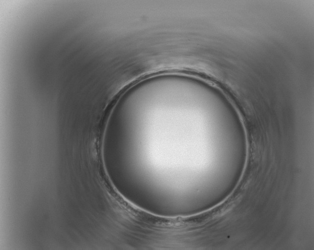 X0000071771497200607150014