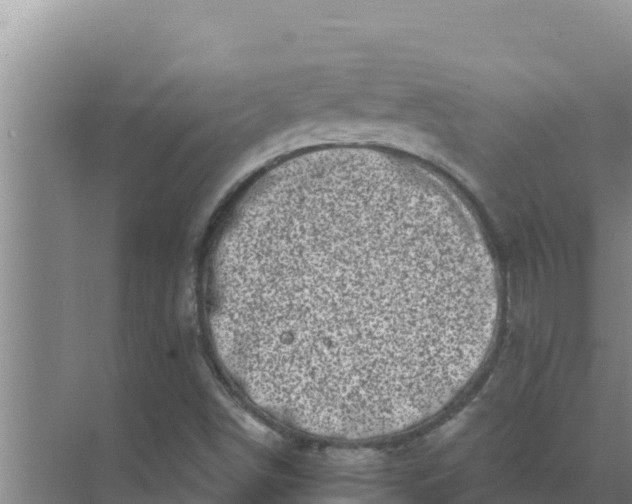 X0000071771498200607150014