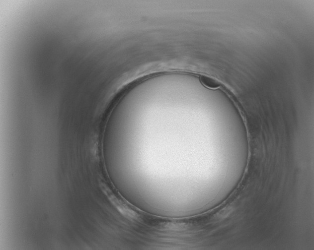 X0000071771499200607150015