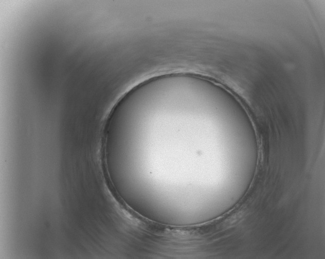 X0000071771500200607150015