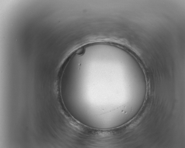 X0000071771501200607150015