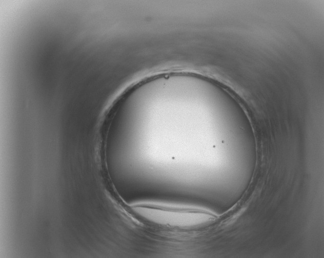 X0000071771502200607150015