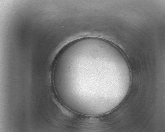 X0000071771503200607150015