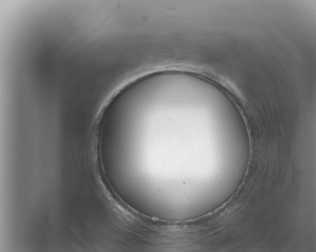 X0000071771504200607150015