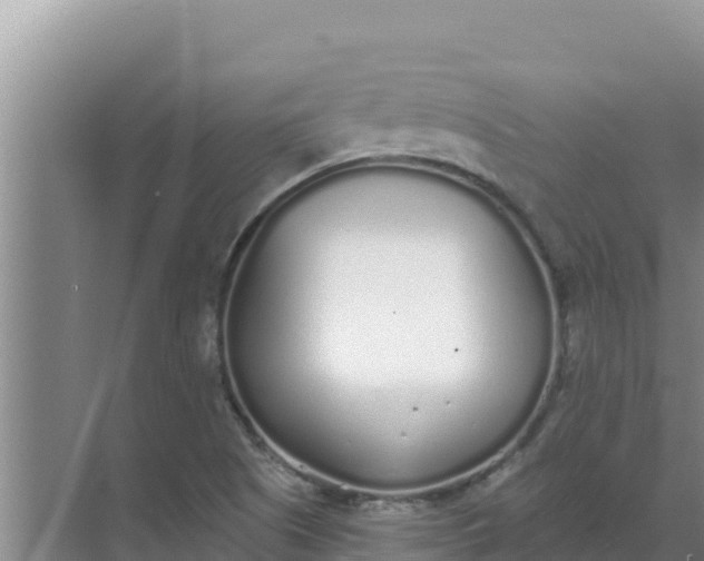 X0000071771505200607150015